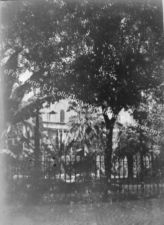 BUILDING THROUGH TREES